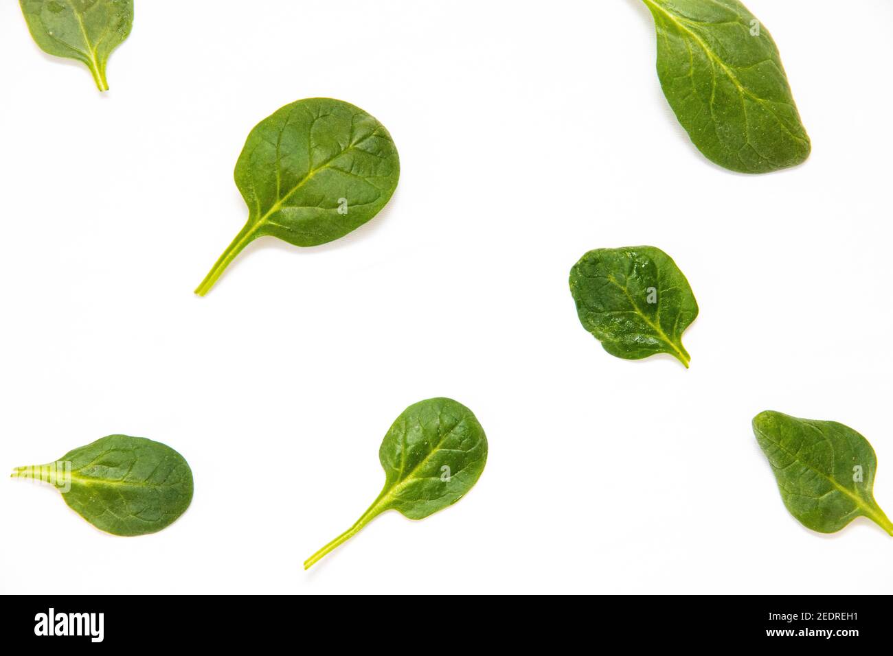 White background with many green spinach leaves Stock Photo - Alamy