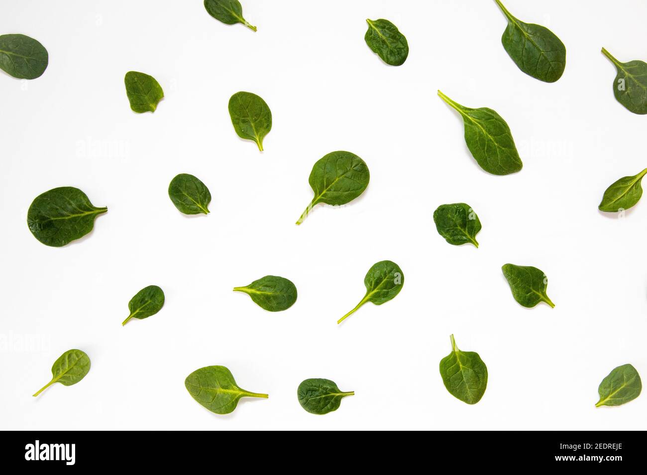 White background with many green spinach leaves Stock Photo - Alamy