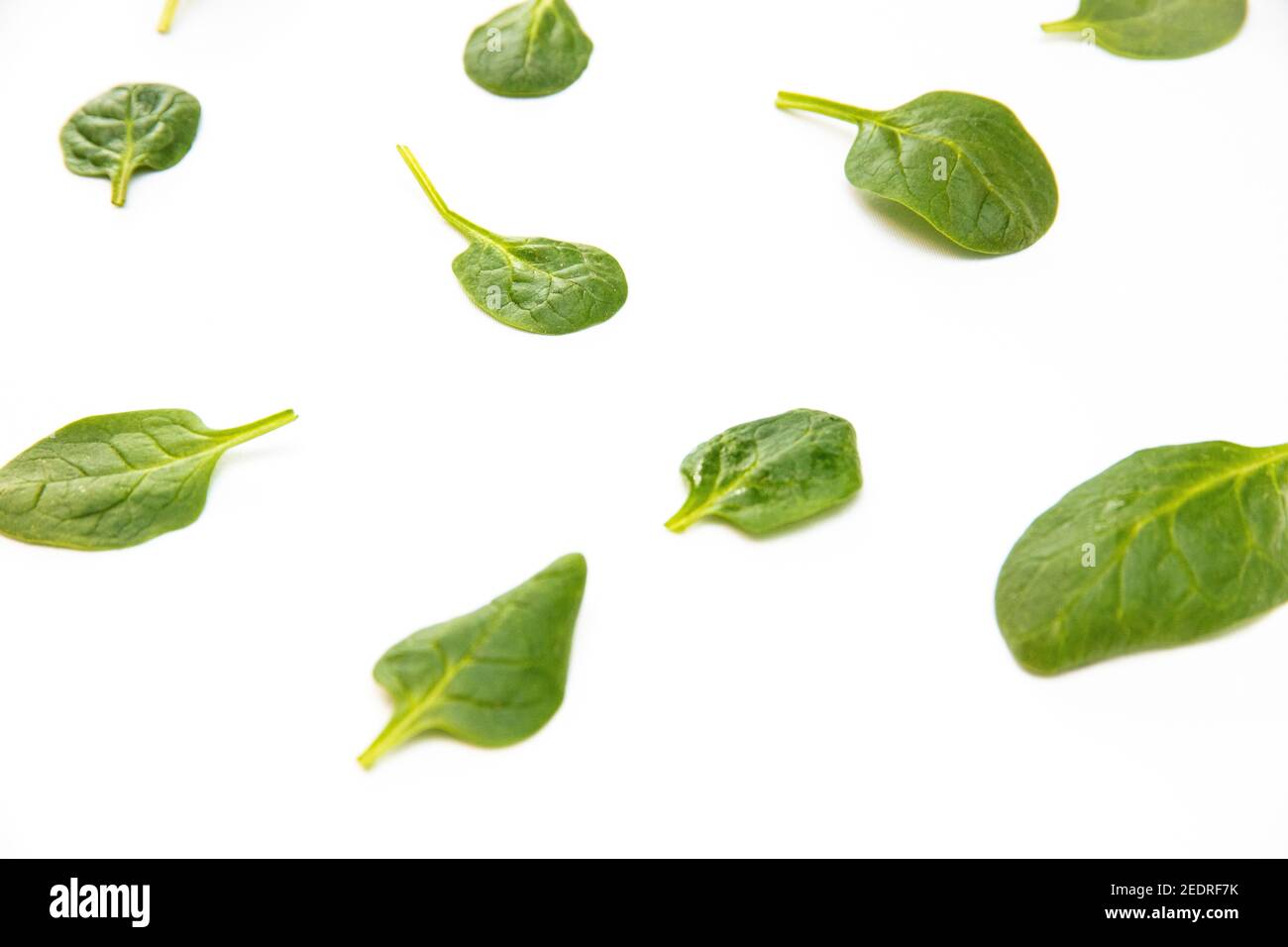 White background with many green spinach leaves Stock Photo - Alamy