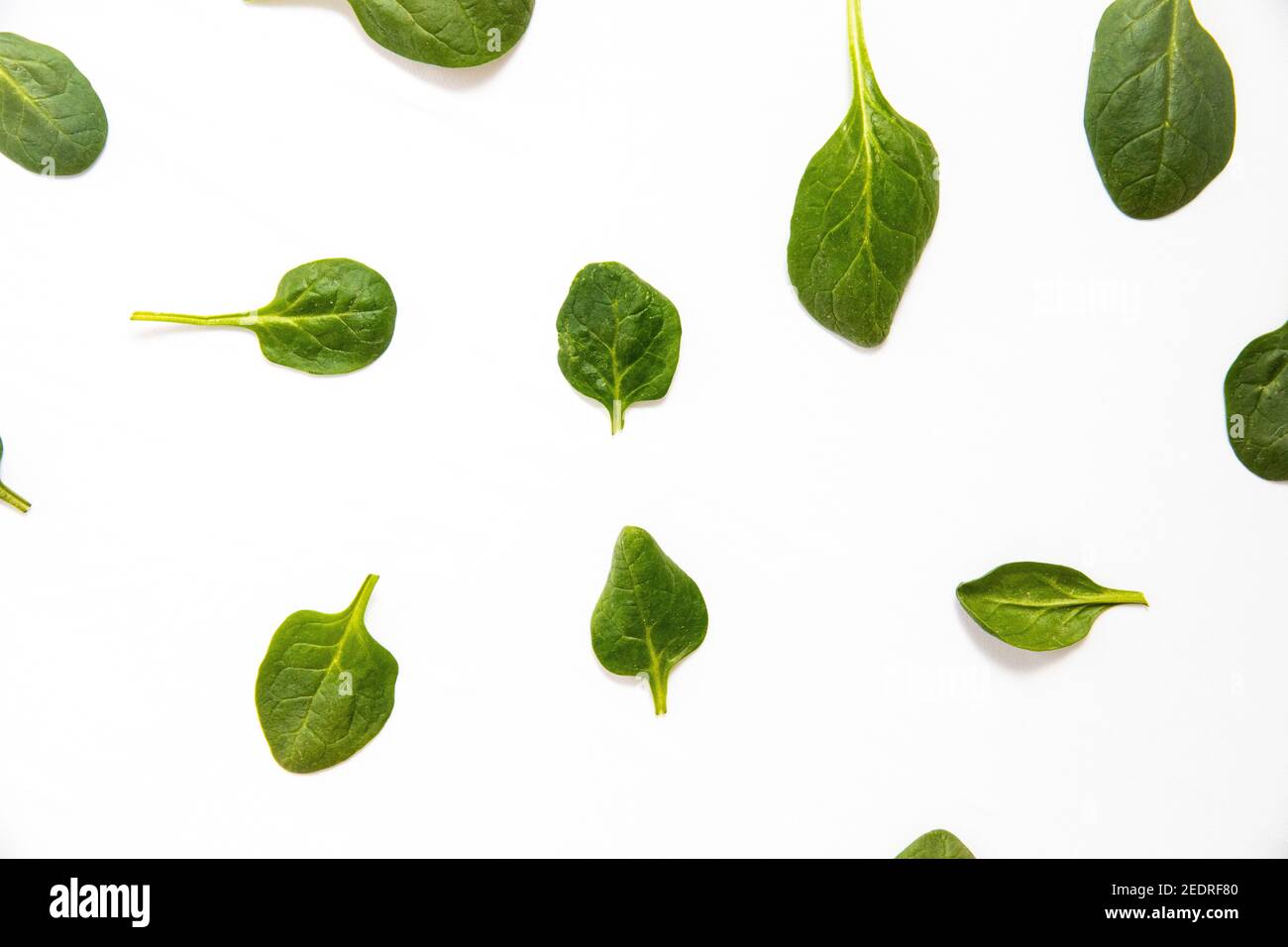 White background with many green spinach leaves Stock Photo - Alamy