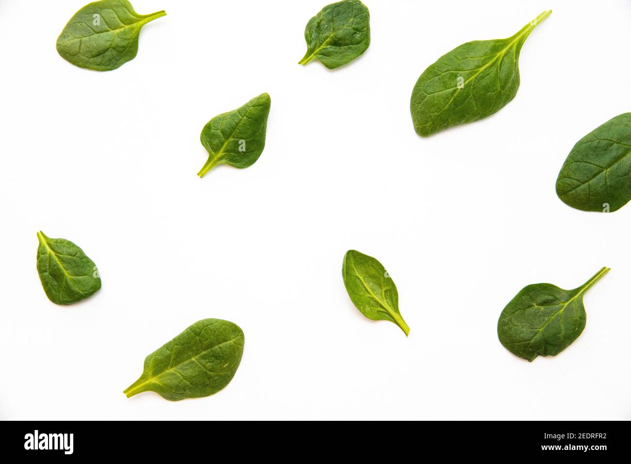 White background with many green spinach leaves Stock Photo - Alamy