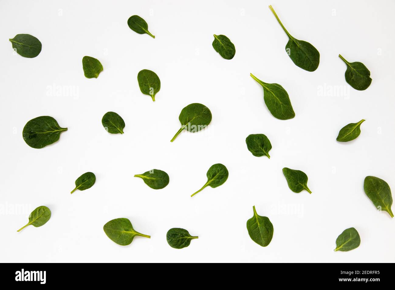 White background with many green spinach leaves Stock Photo - Alamy