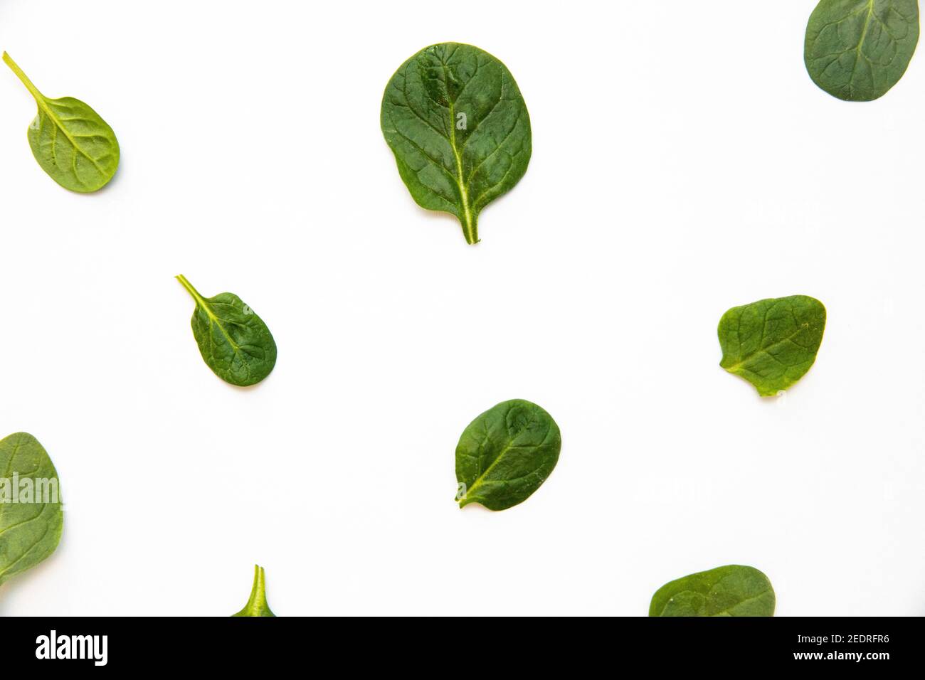 White background with many green spinach leaves Stock Photo - Alamy