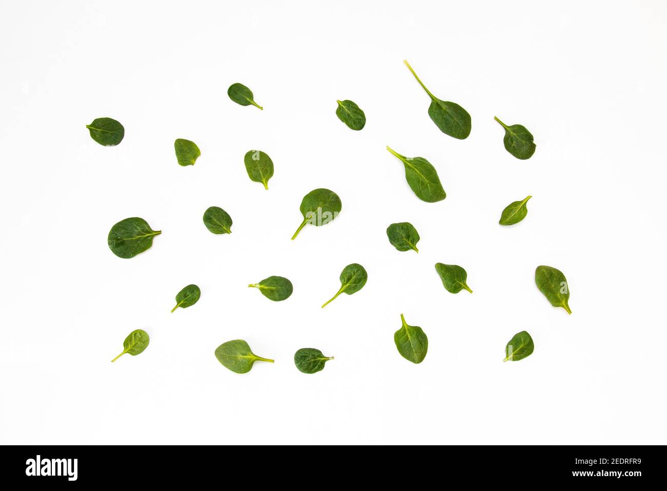White background with many green spinach leaves Stock Photo - Alamy