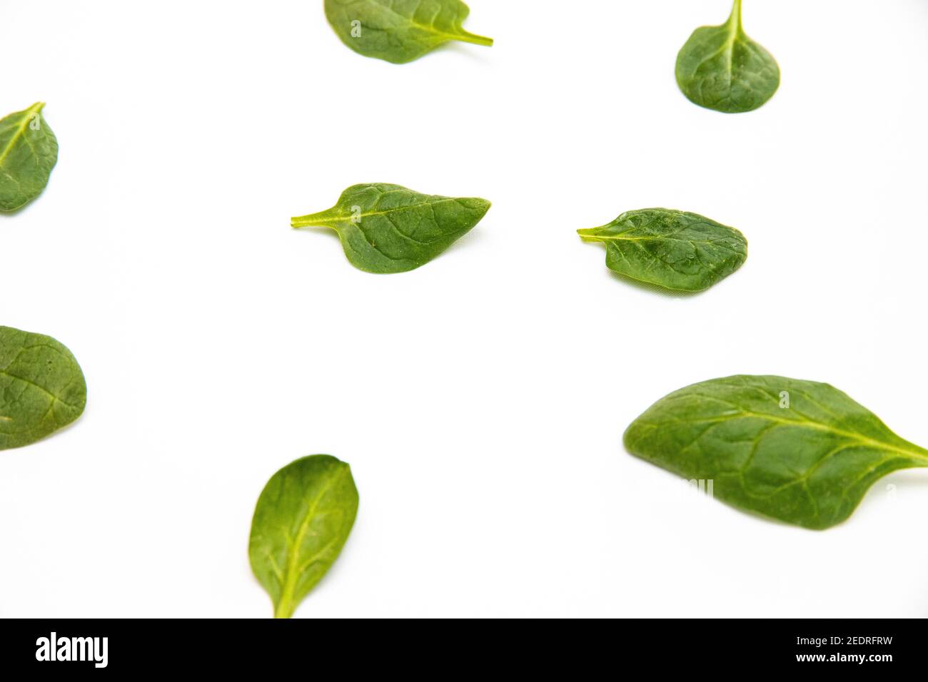 White background with many green spinach leaves Stock Photo - Alamy