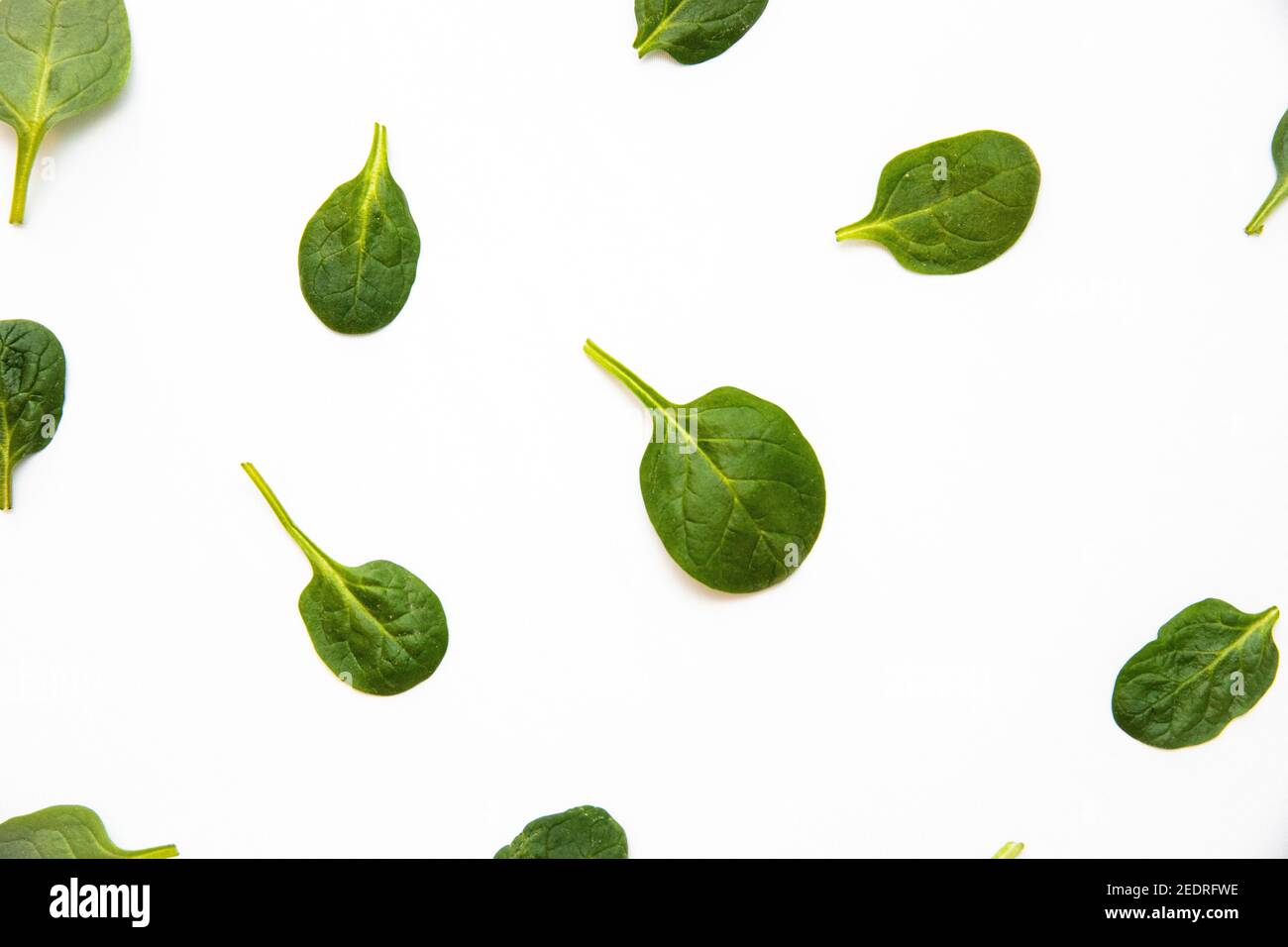 White background with many green spinach leaves Stock Photo - Alamy