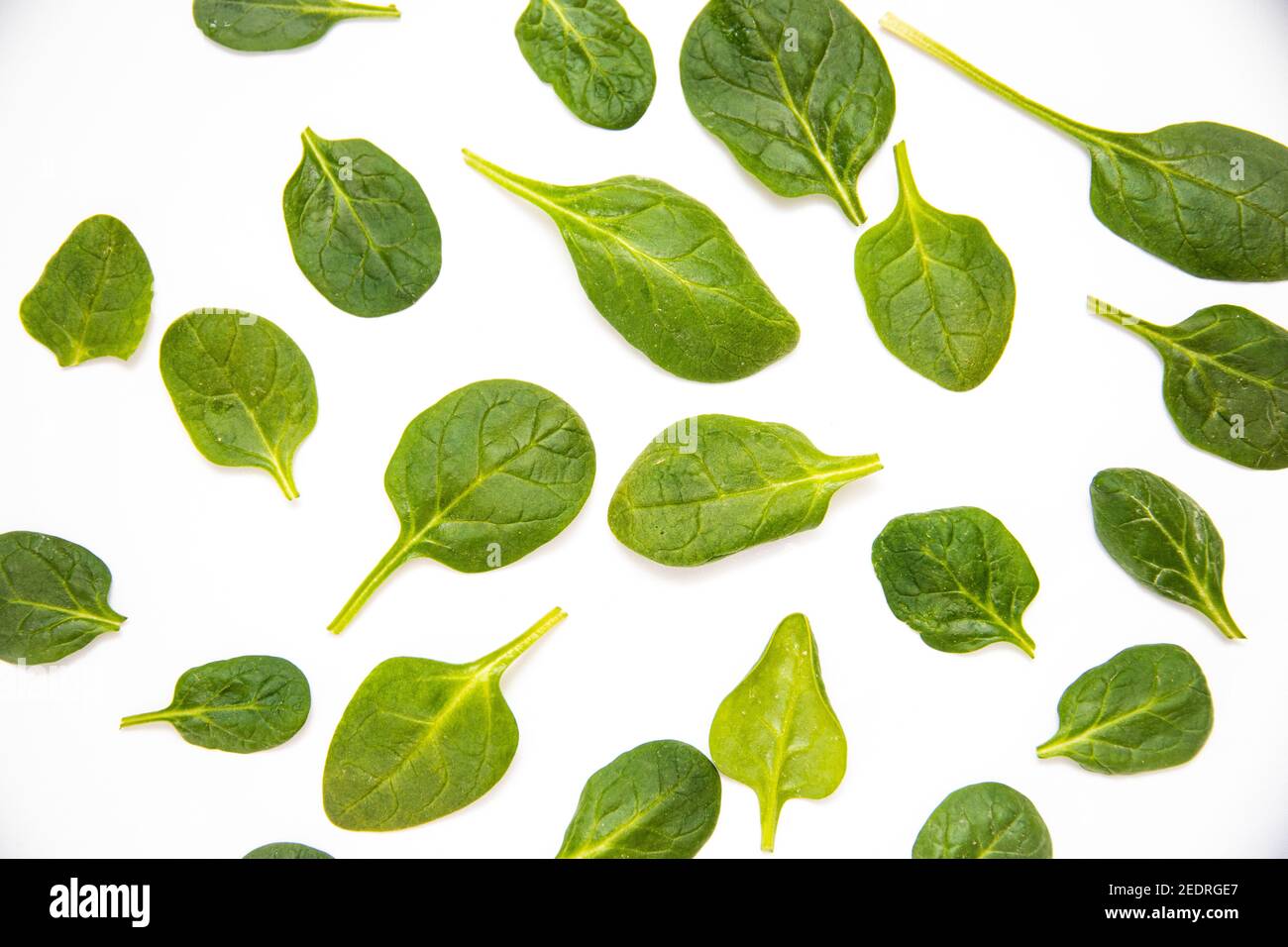 White background with many green spinach leaves Stock Photo - Alamy