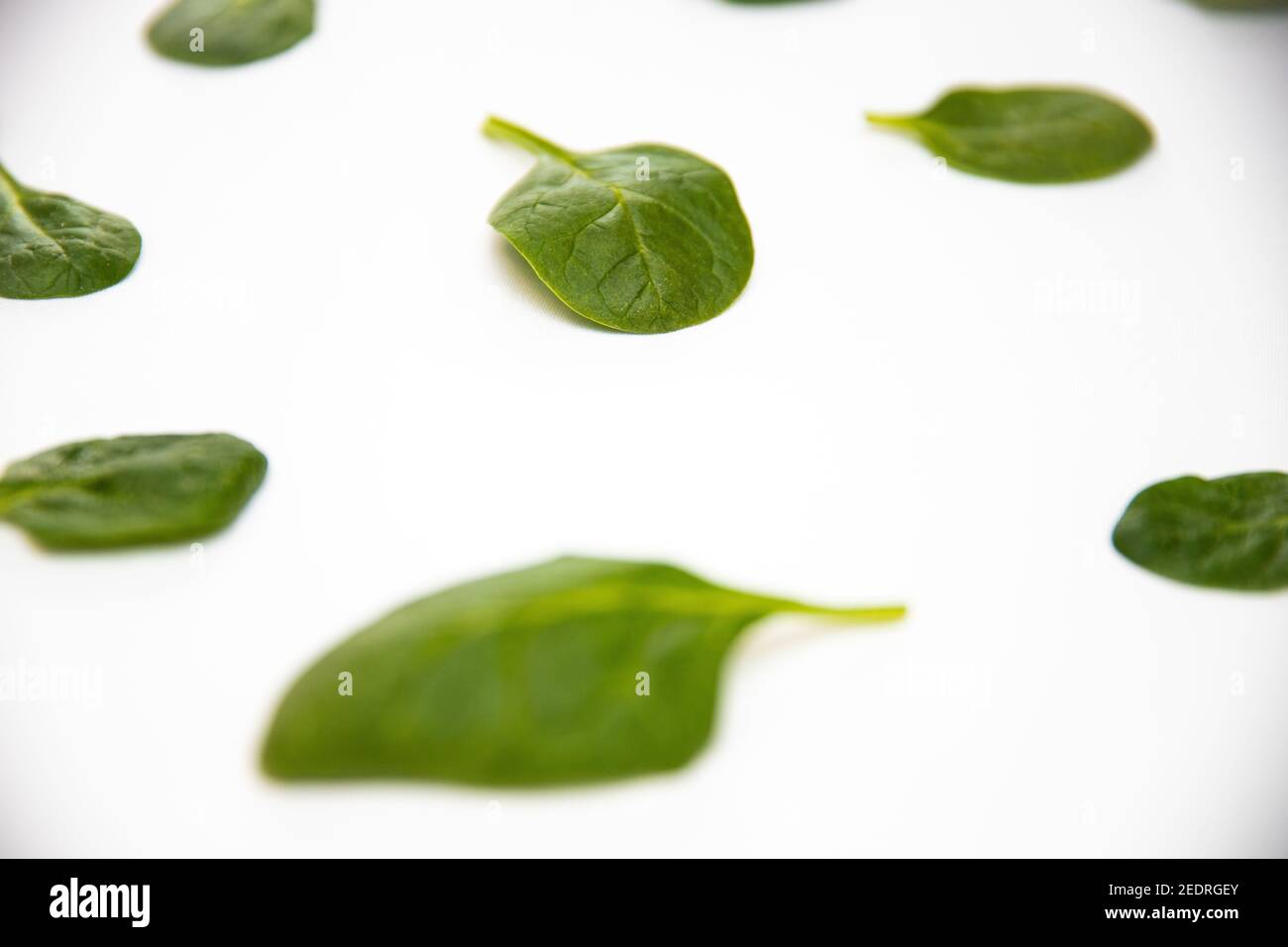 White background with many green spinach leaves Stock Photo - Alamy