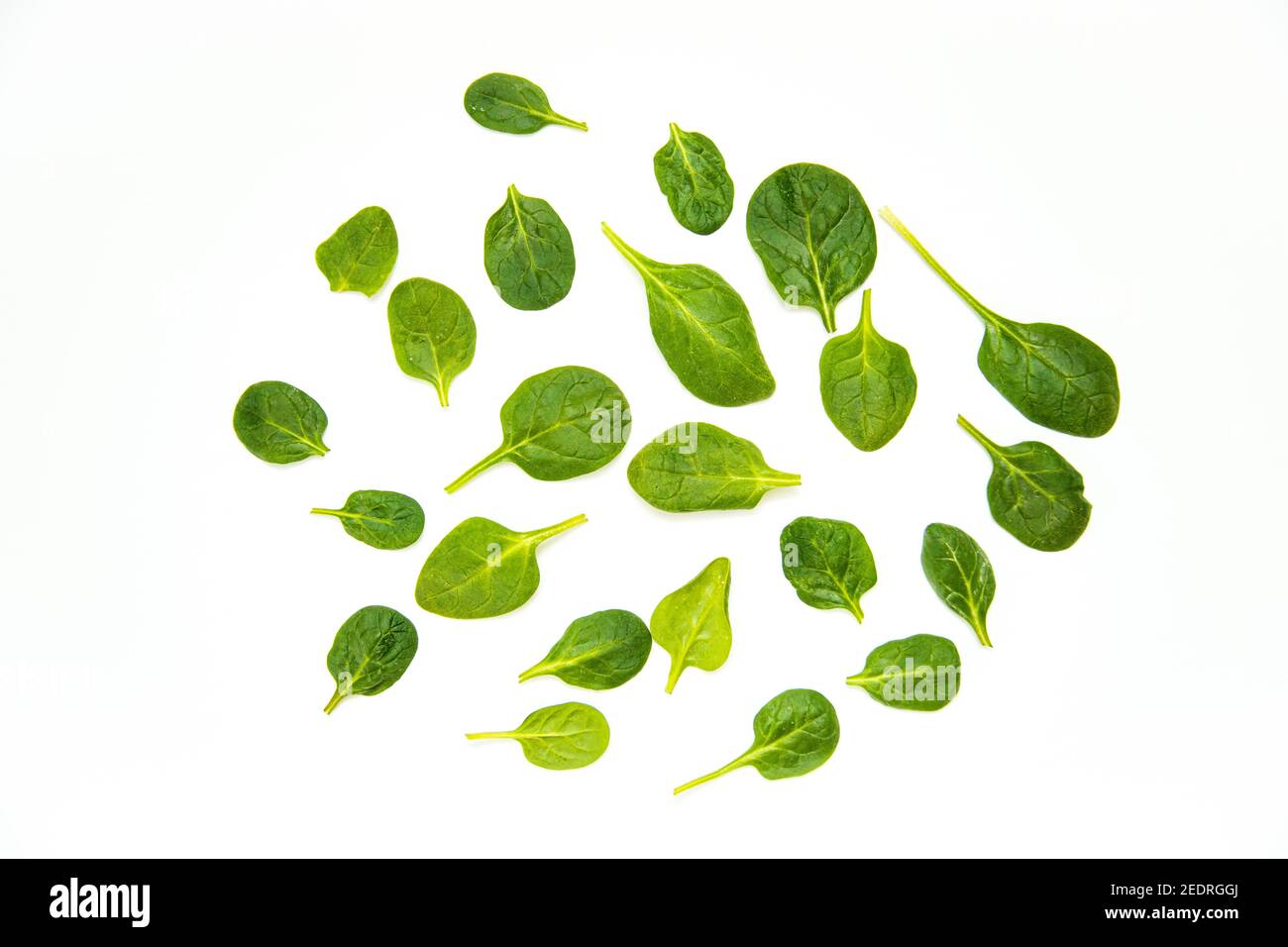 White background with many green spinach leaves Stock Photo - Alamy