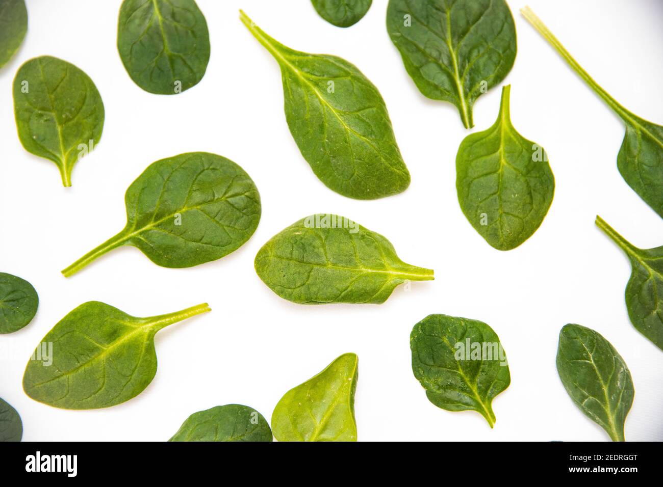 White background with many green spinach leaves Stock Photo - Alamy