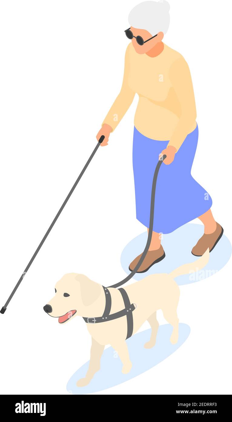 Blind elderly woman with cane and guide dog isolated on white background. Flat vector isometric illustration. Stock Vector