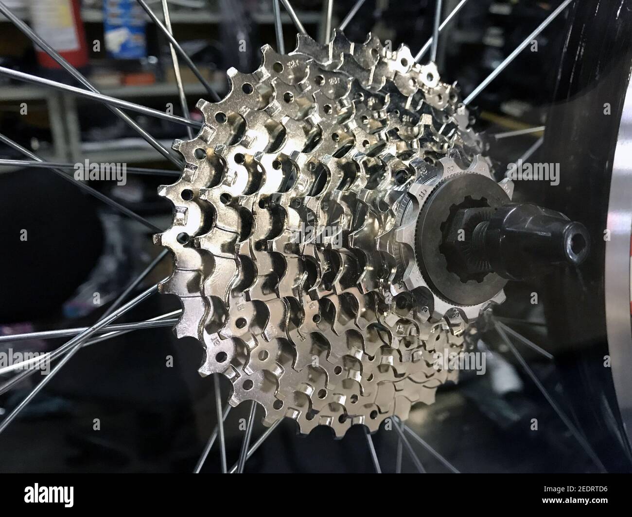 Bicycle gear ratchet Stock Photo Alamy