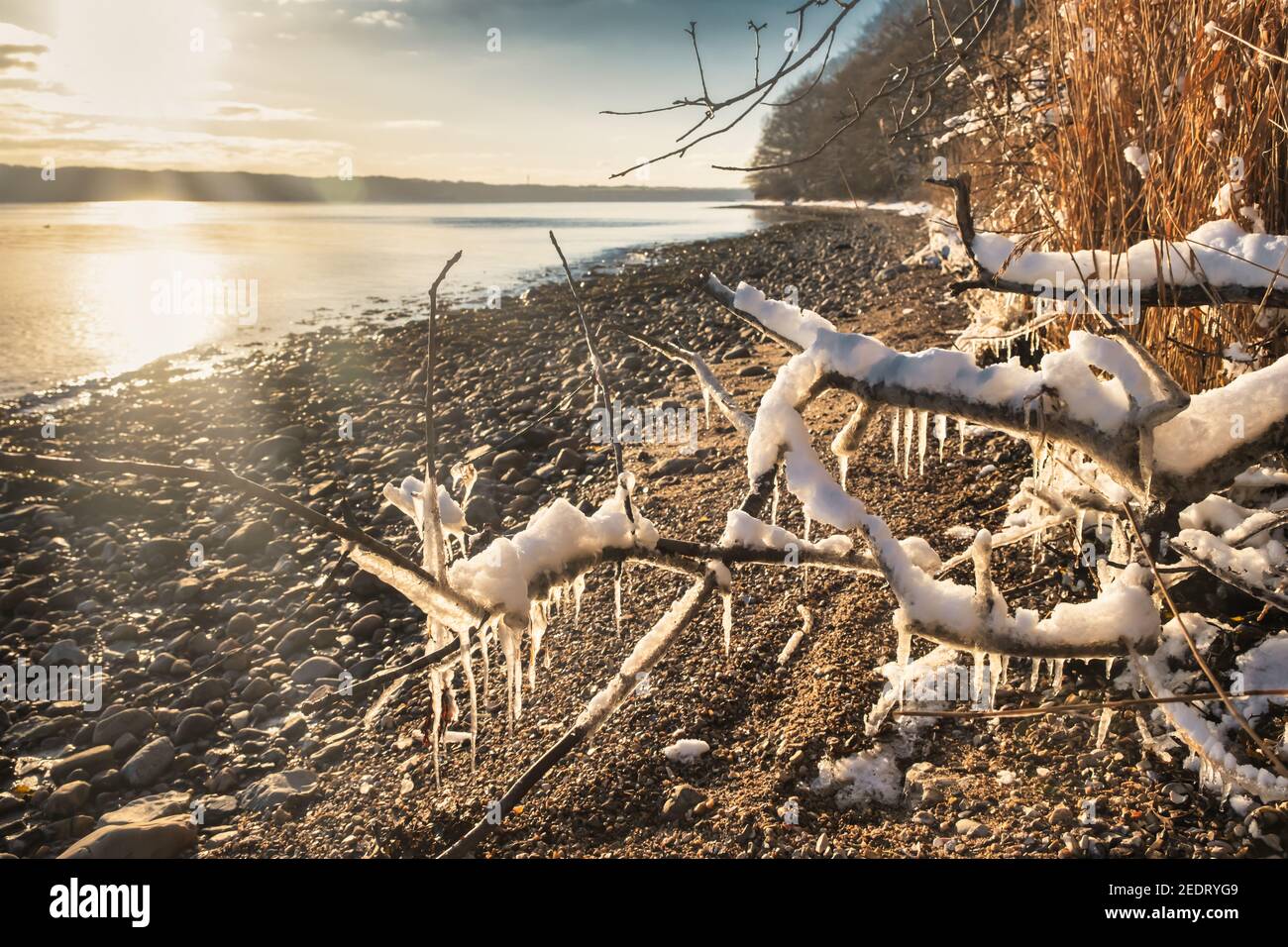 Snow and icicles at the fjord near Vejle in Dennmrk Stock Photo