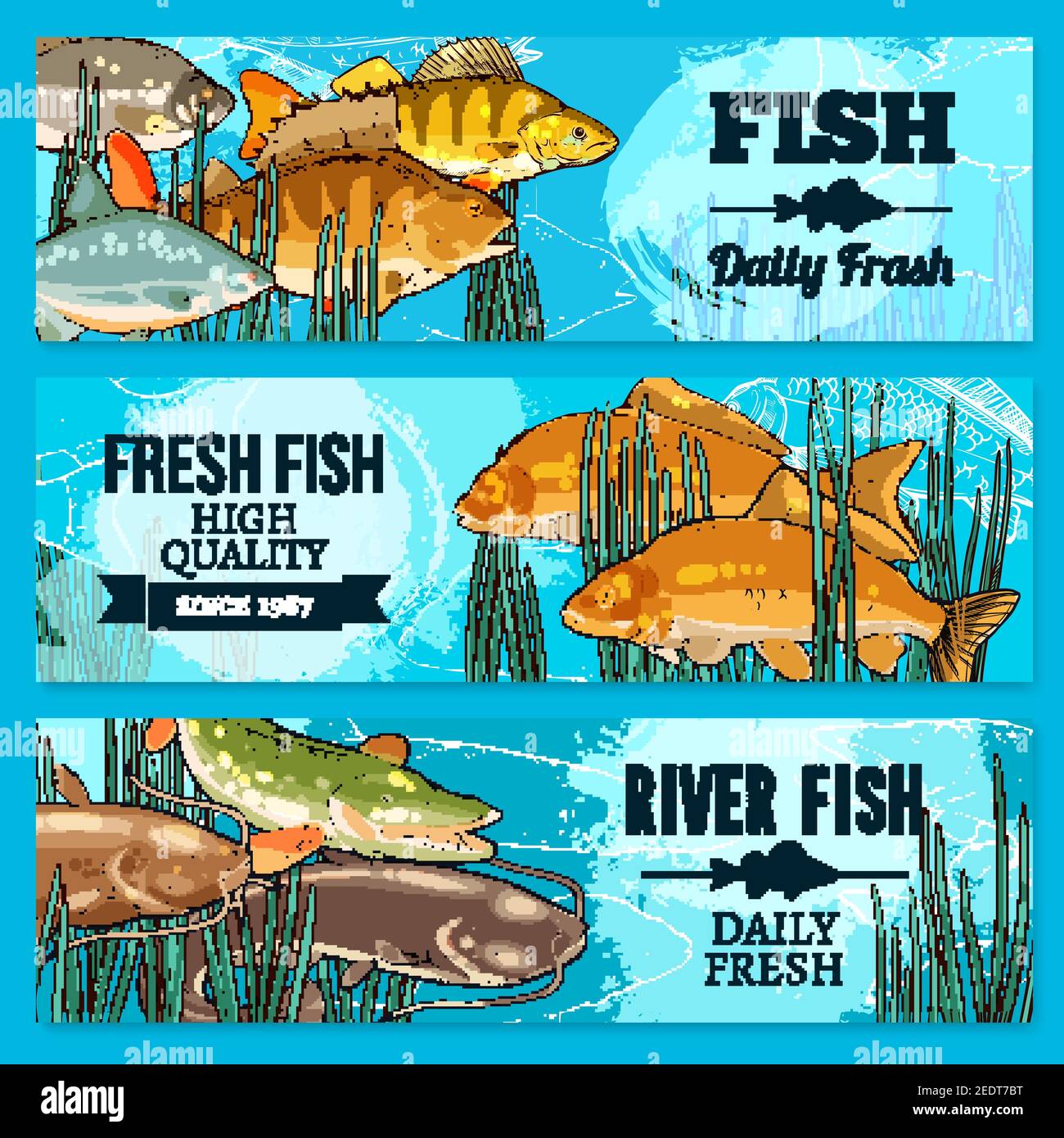 Fresh fish sketch banners for sea food restaurant or market store