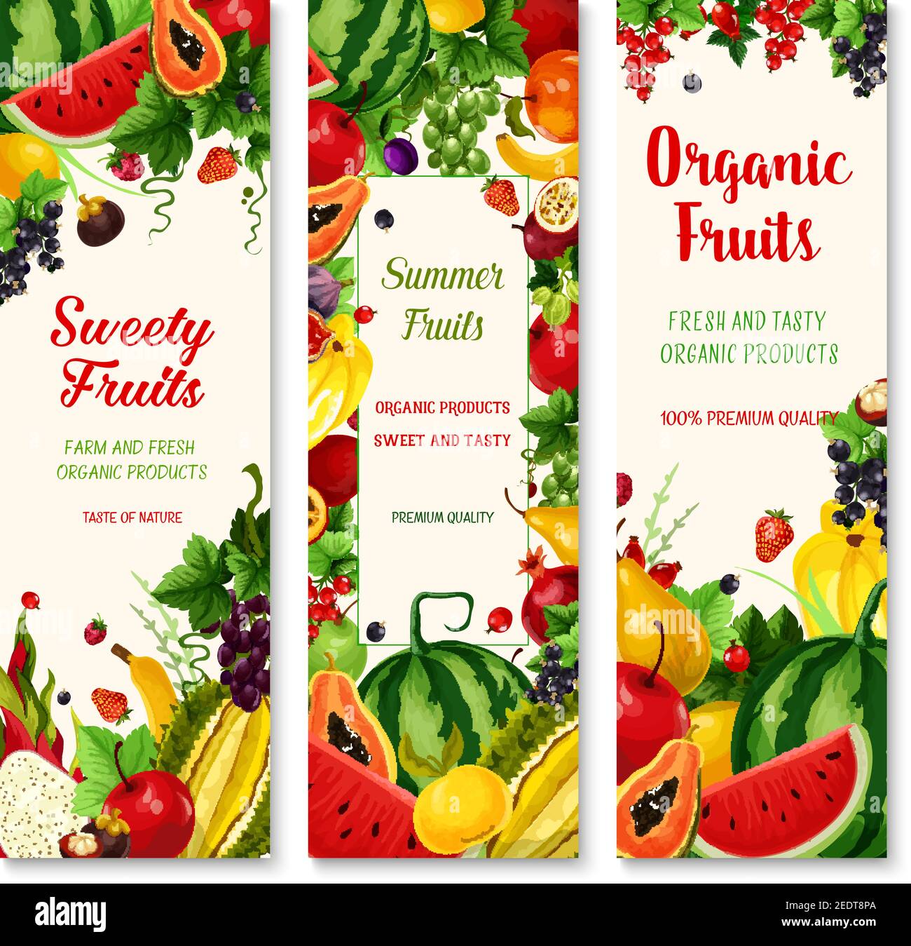 Summer fruit banners. Organic farm apple and strawberry, banana, orange