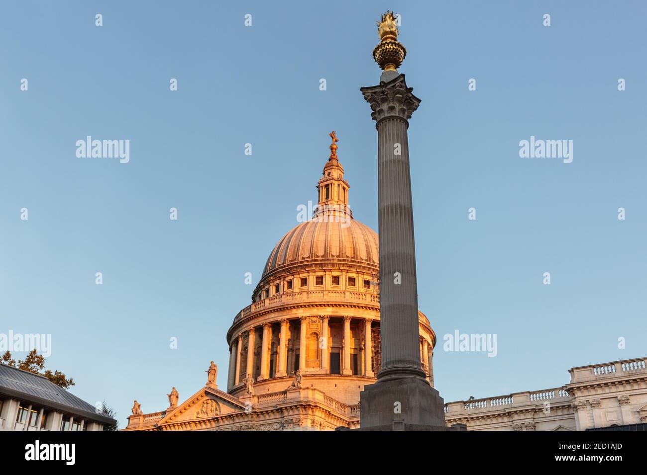 St Paul's Cathedral and the Paternoster Square Column,basked in warm sunlight, London UK Stock Photo