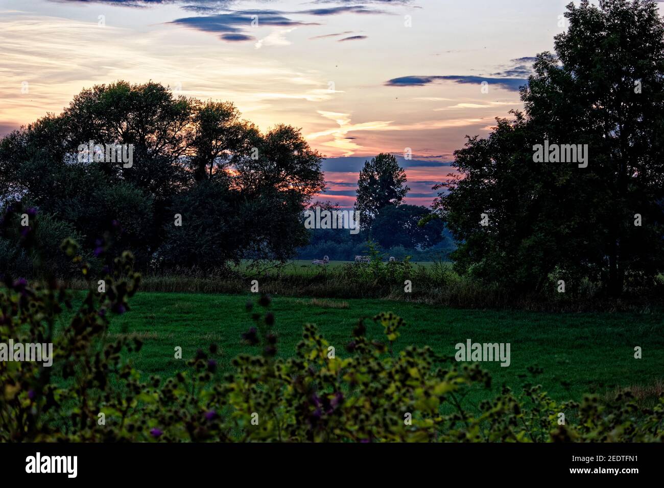Sunset in Harz,Germany. Stock Photo