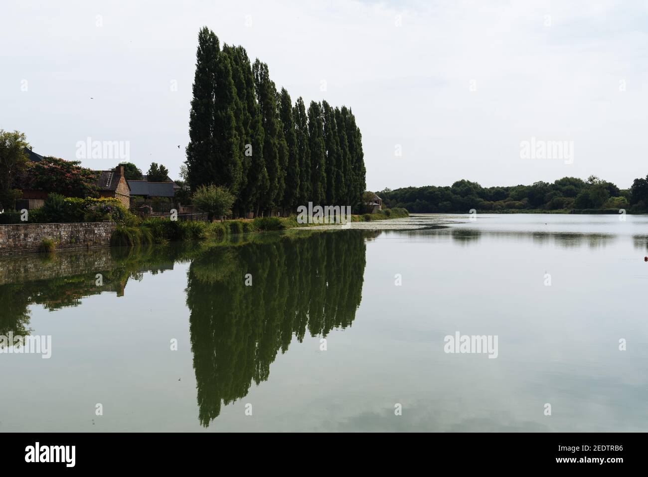 Row of poplars reflecting on the lake of Combourg, French Brittany Stock Photo
