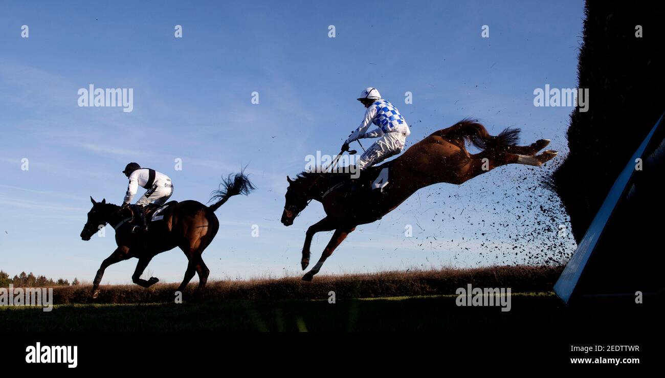 Horse Racing - Plumpton - Plumpton Racecourse - 16/1/12 Golan Guy (L)  ridden by Mark Quinlan leads Hearty Royale ridden by Joe Tizzard over the  4th fence from home before going on