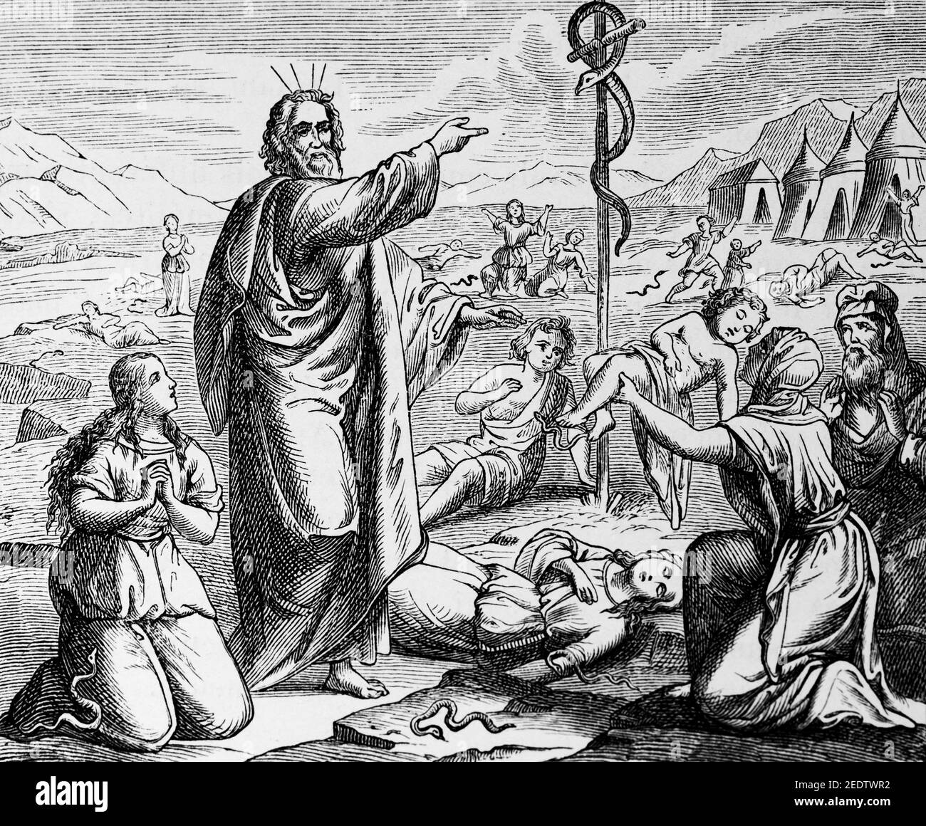 Moses´ doubts, the brazen serpent, Old Testamnet, Historic bible Histoire Biblique de L´Ancien Testament, Fribourg, 1891 Stock Photo