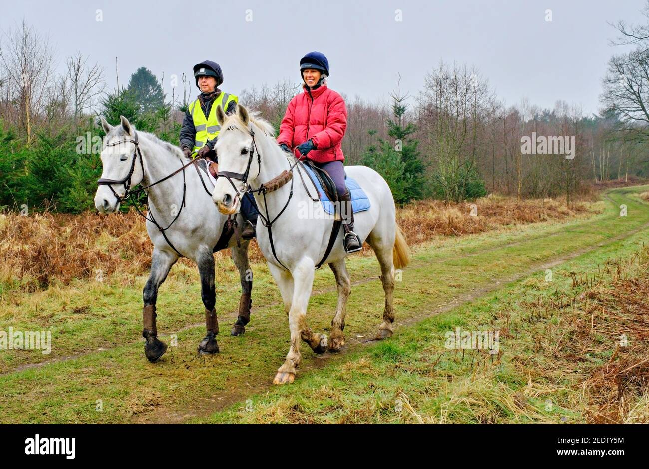 Horse riding in Norfolk Stock Photo