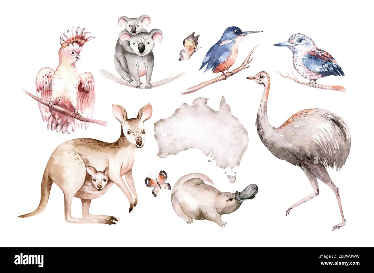 Watercolor australian cartoon kangaroo seamless pattern. Australian