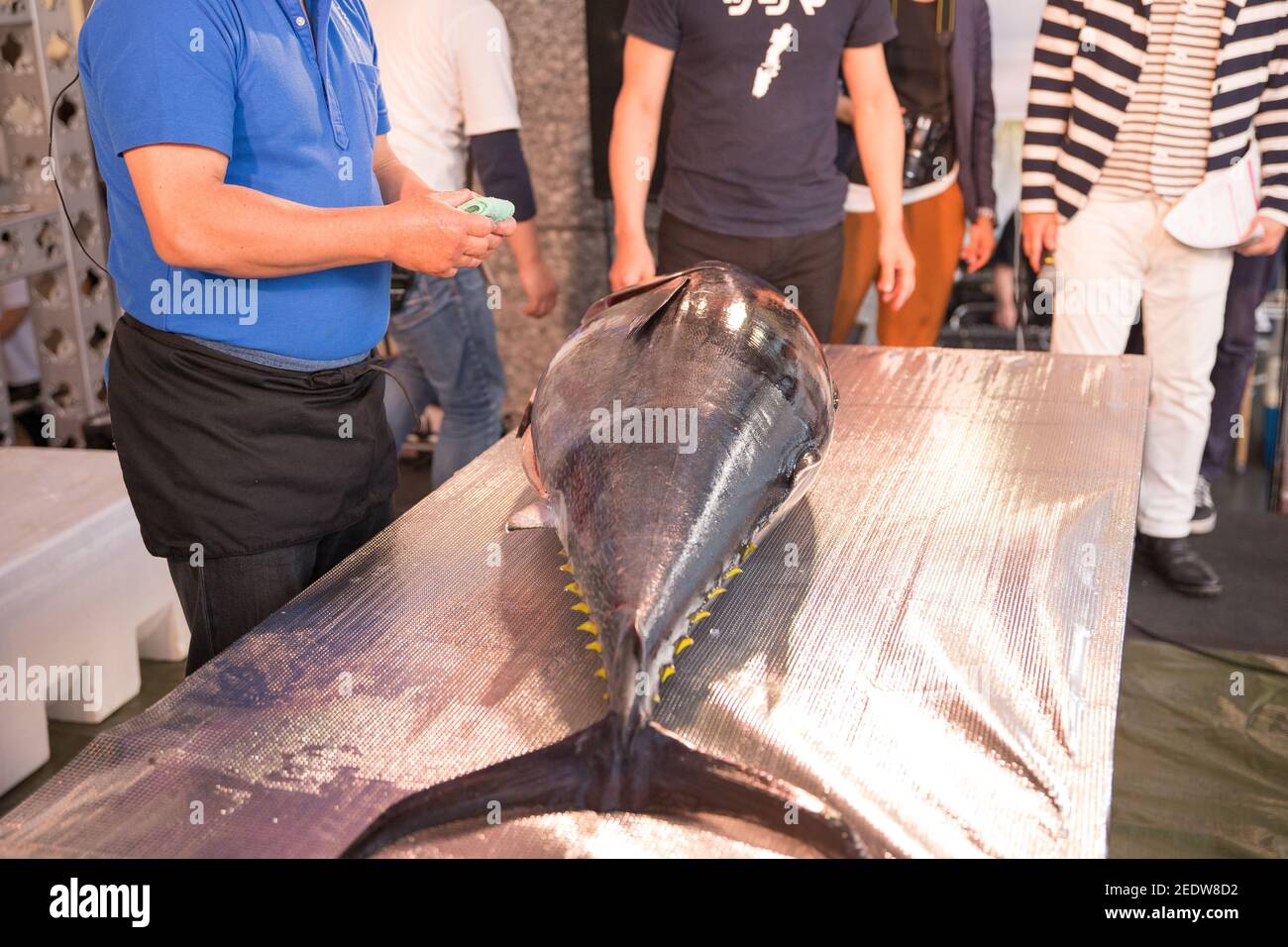 Japanese tuna dismantling show held at Hakata Station Stock Photo Alamy