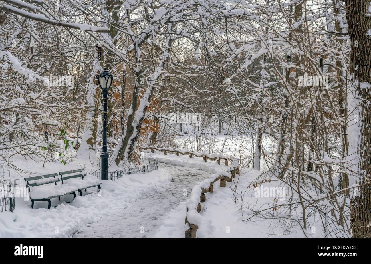 Central Park in winter after snow storm Stock Photo - Alamy
