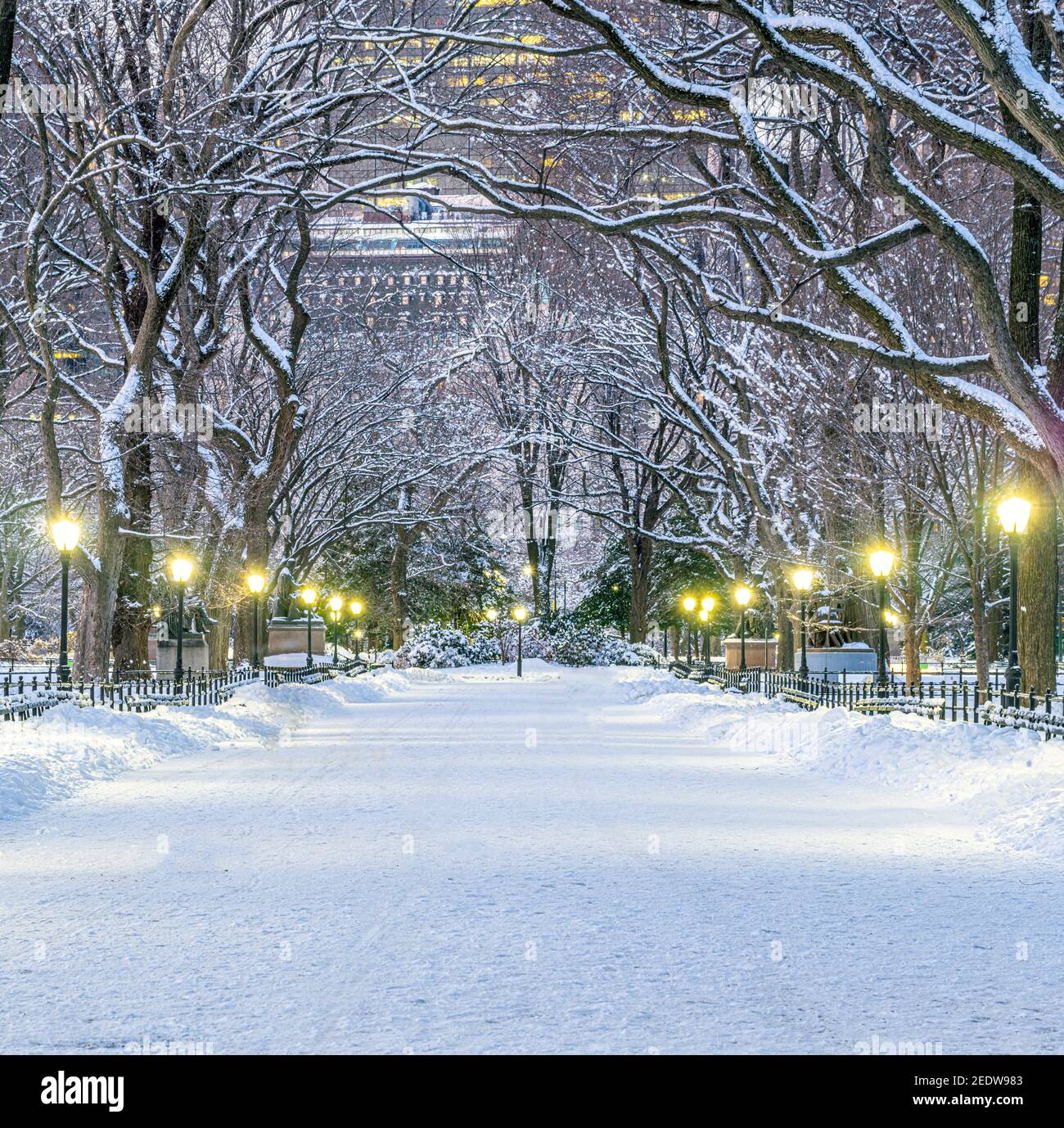 The Mall in Central Park, New York City during snow storm Stock Photo ...
