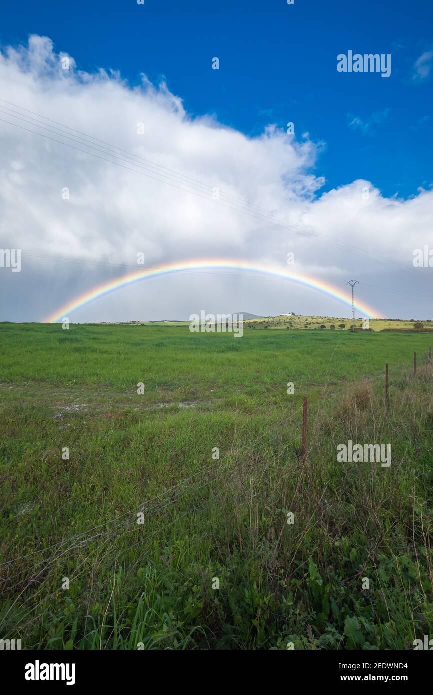 Rainbow grass hi-res stock photography and images - Alamy