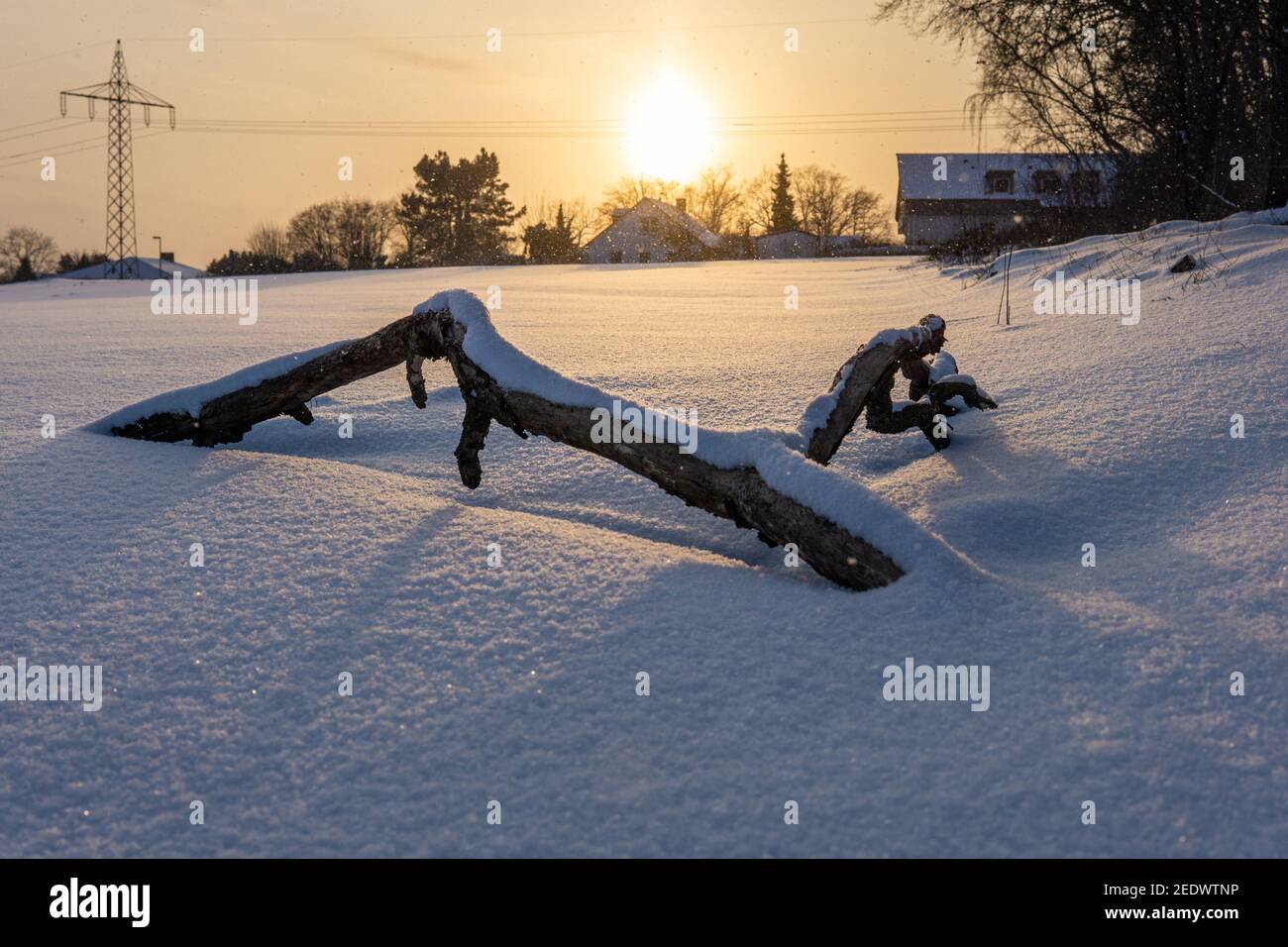 sunset in the winter with wood in the foreground Stock Photo
