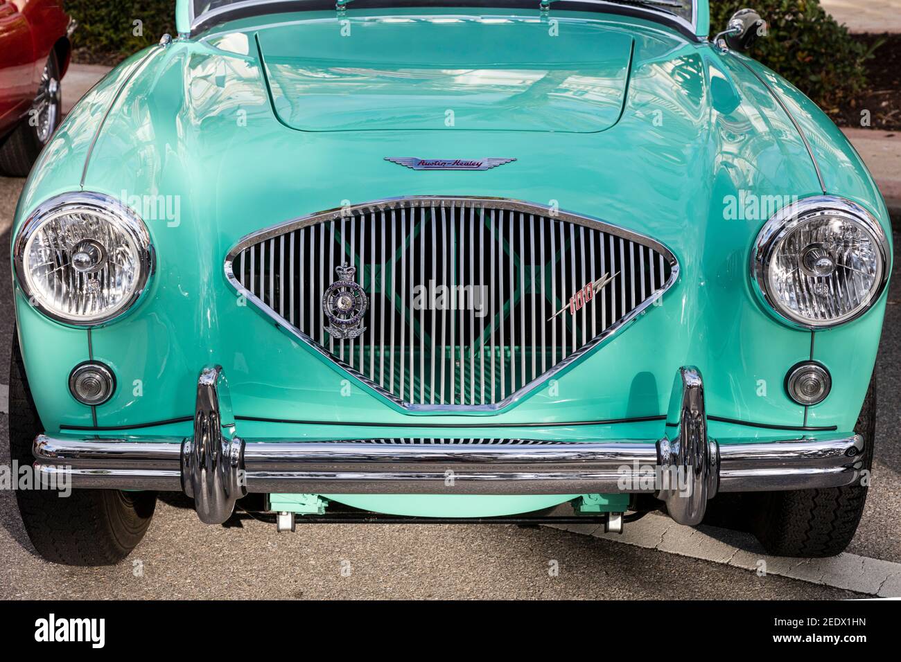 1956 Austin Healey '100 BN 2' on display at 'Cars on Fifth' - Naples, Florida, USA Stock Photo