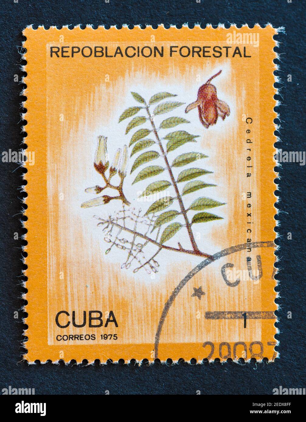 Old vintage Cuban postal stamps Stock Photo - Alamy