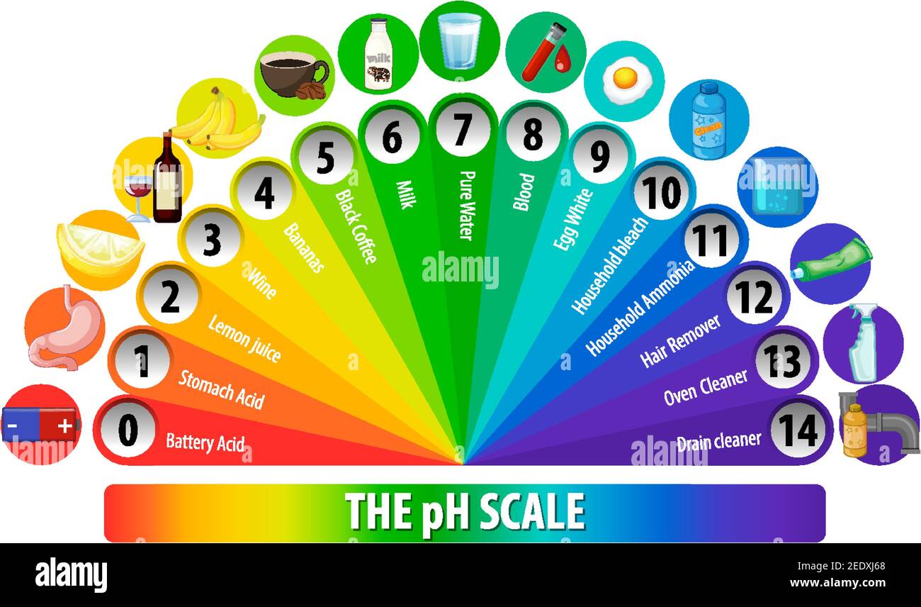 A Ph Scale On White Background Illustration Stock Vector Image And Art Alamy