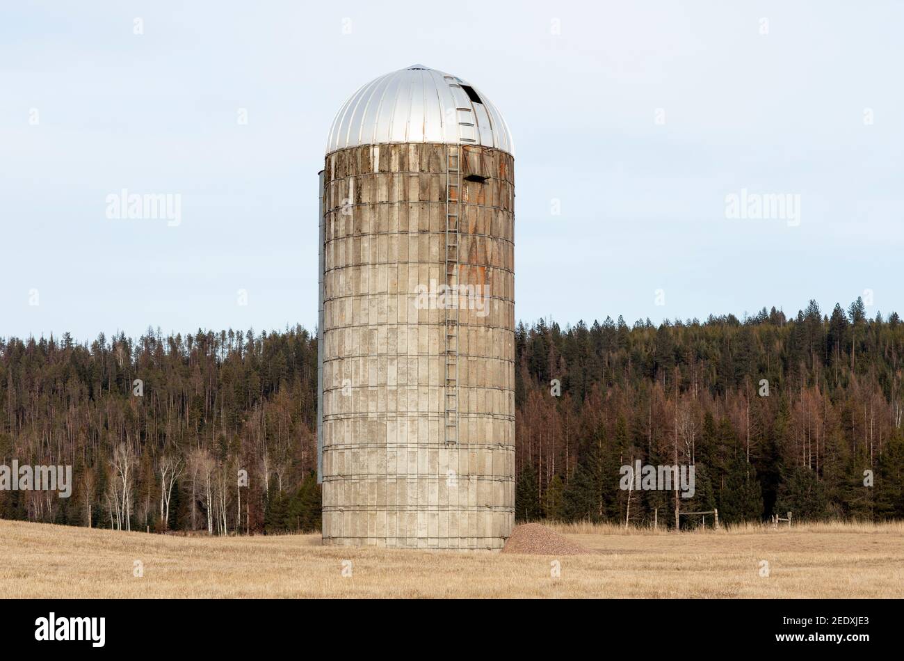 An old concrete tower silo on a farm, near Iron Creek, outside of Troy, Montana. Stock Photo