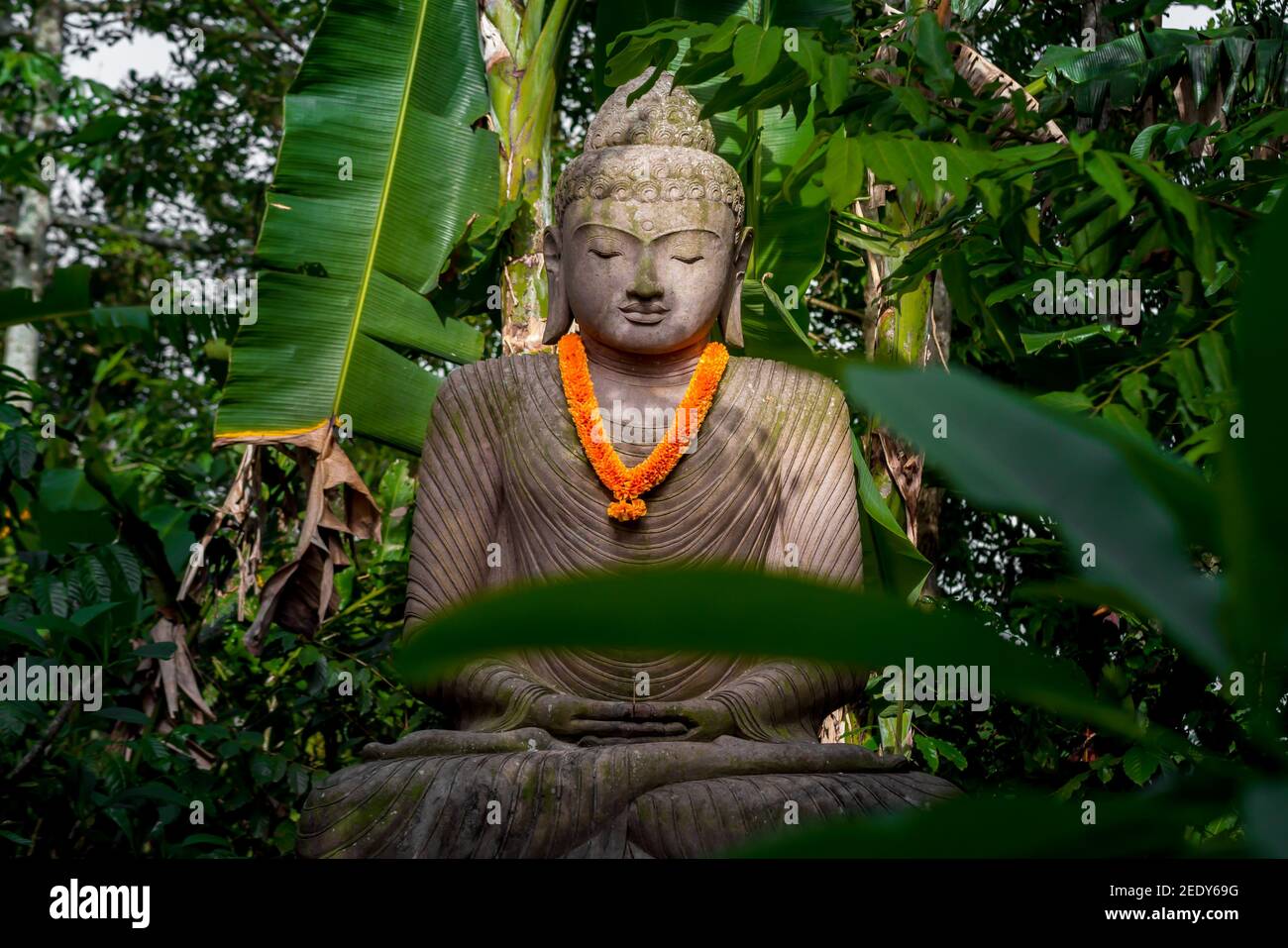 Buddha Statue in Bali Tropical Jungle Stock Photo Alamy