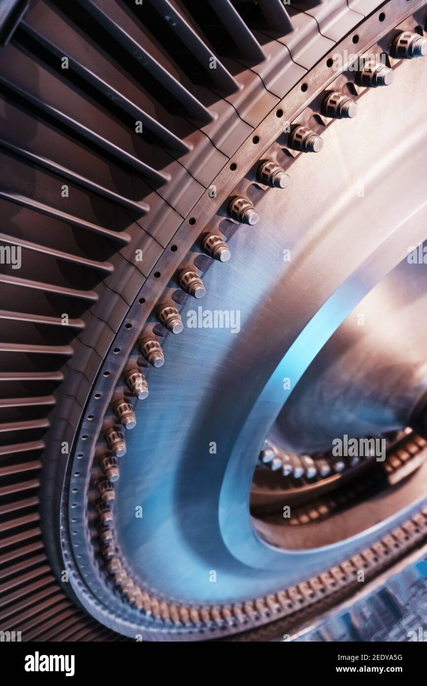 A rotor disc with blades of a turbojet gas turbine engine, inside view