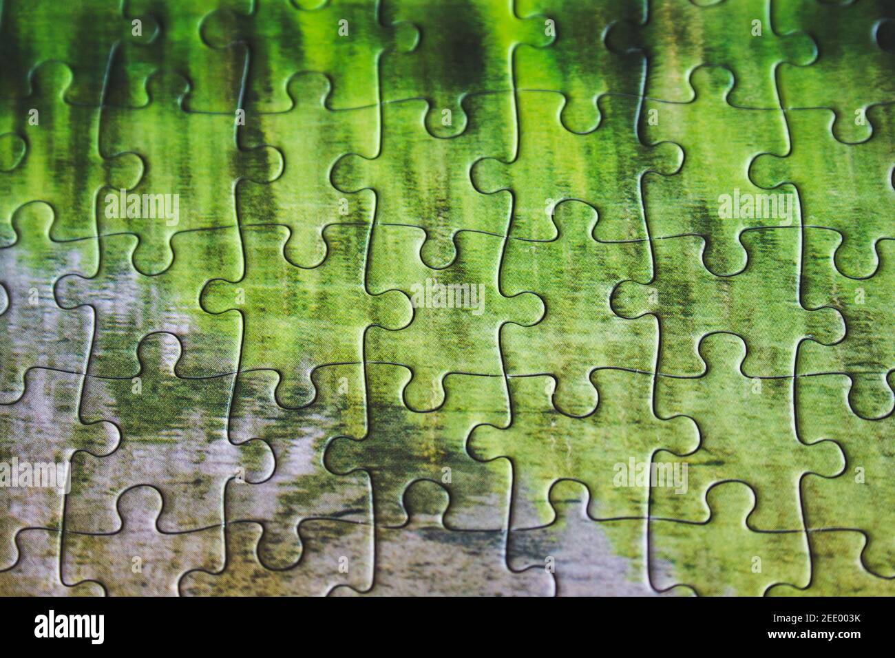 Jigsaw puzzle. Closeup of green jigsaw puzzle peices. Conceptual photo with focus on completed puzzle Stock Photo