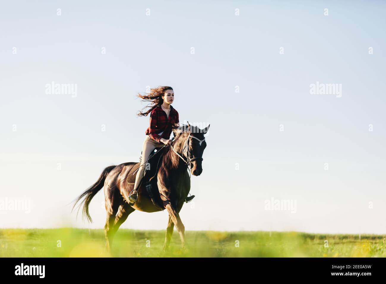 Young Girl Dressed Casually Riding A Horse On A Grass Field Gallopade young-girl-dressed-casually-riding-a-horse-on-a-grass-field-gallopade