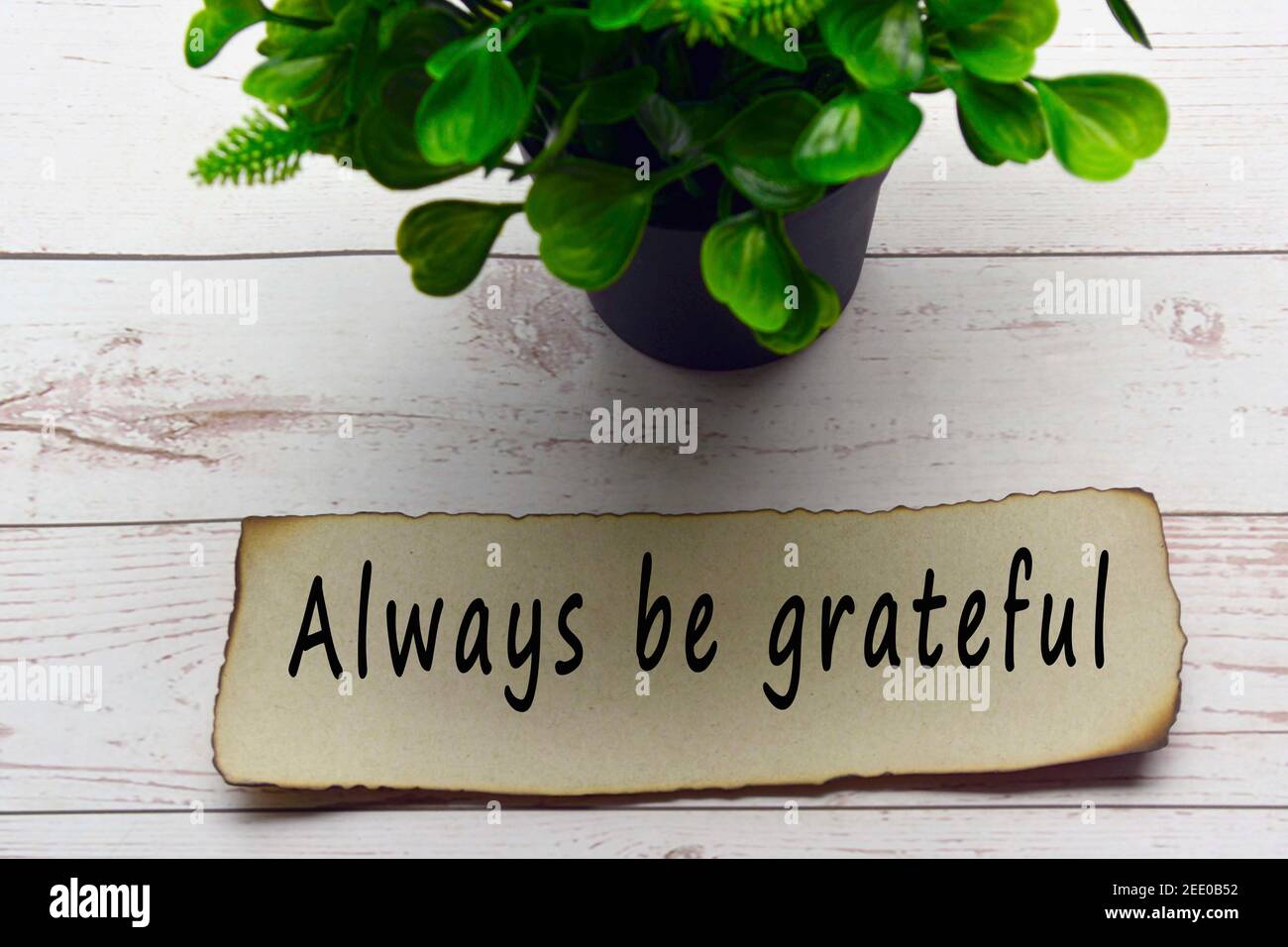 Motivational And Inspirational Quote On Burnt Edge Brown Paper With Blurred Plant Background On Wooden Desk Always Be Grateful Stock Photo Alamy
