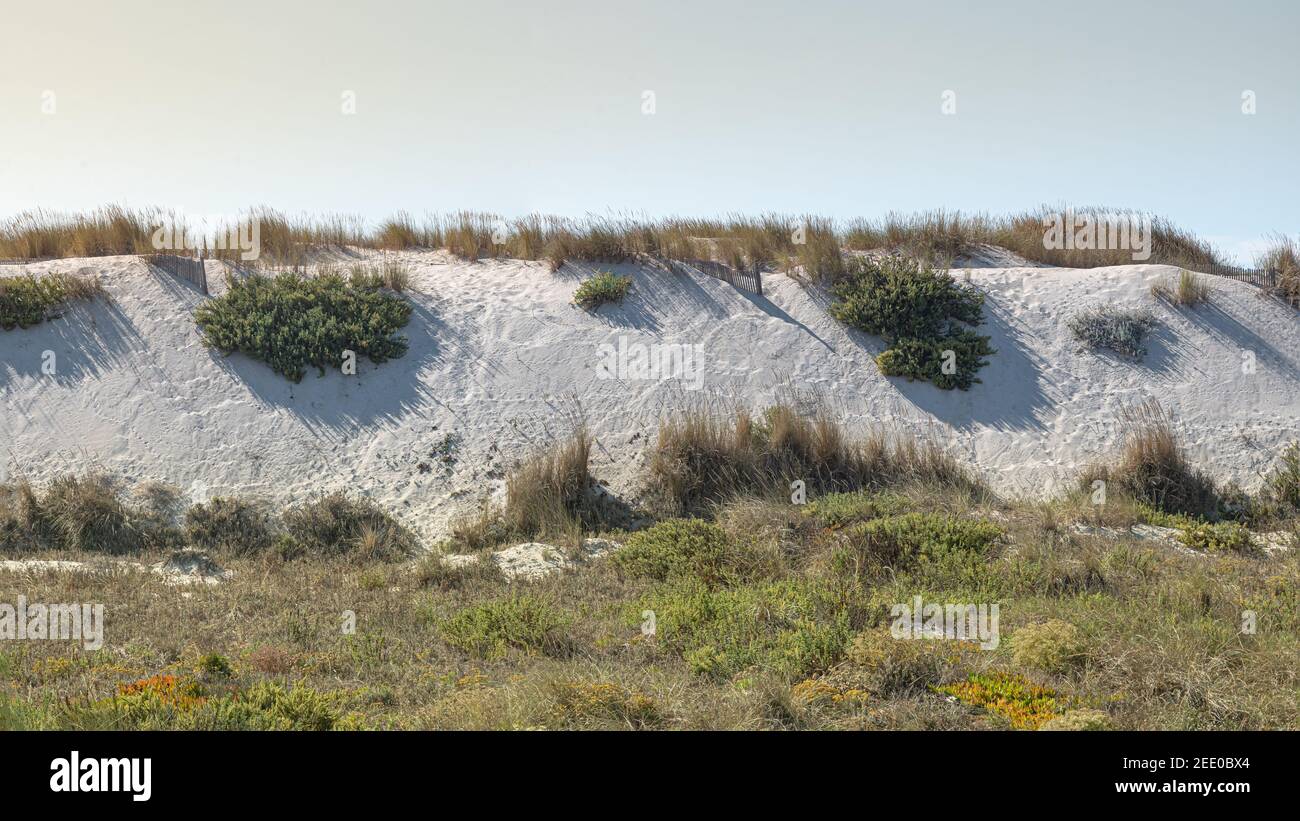 Sand mountains with coastal plants on the atlantic sea, Portugal, colourful sky blue, white sand and green plants Stock Photo