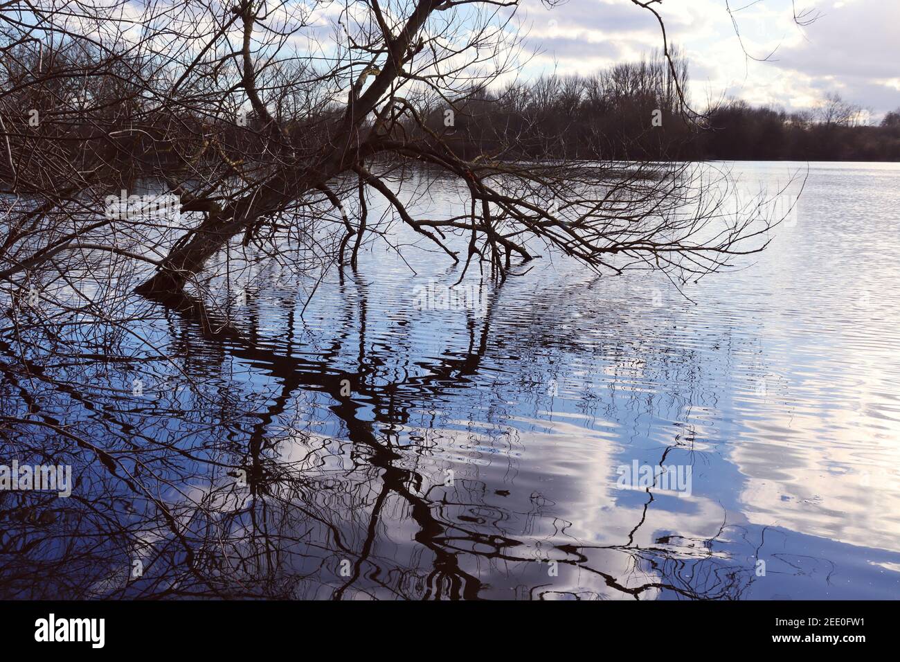 Clouds and tree reflections on lake Stock Photo - Alamy