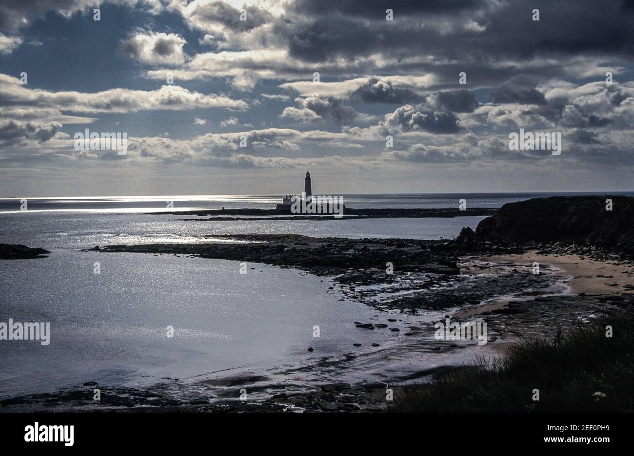 lighthouse bait shop