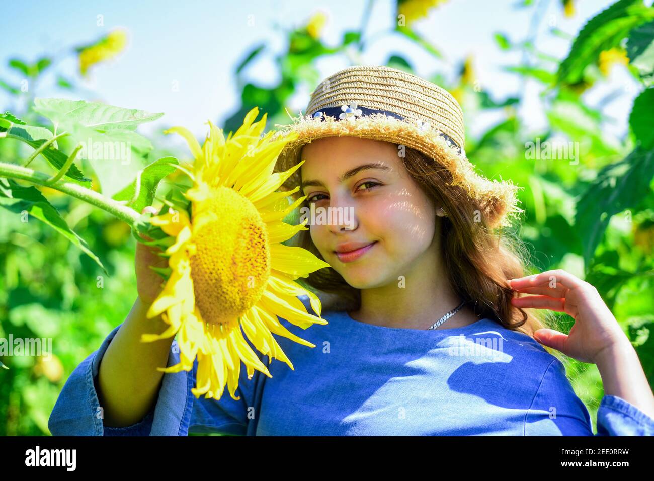 Under the weather. teen girl in sunflower field. concept of summer ...