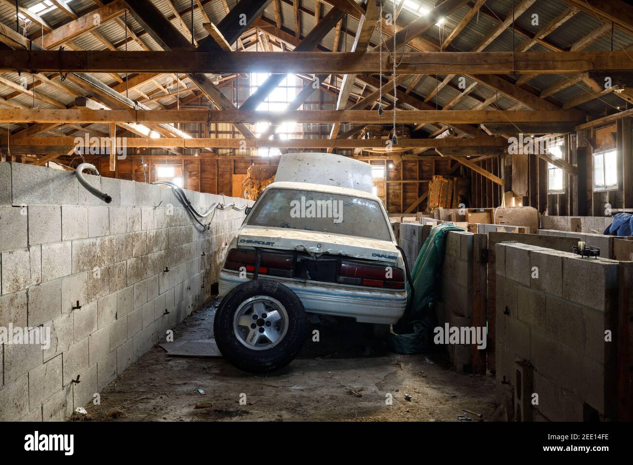A 1980s Chevrolet Cavalier inside an abandoned barn. Ontario, Canada. Stock Photo