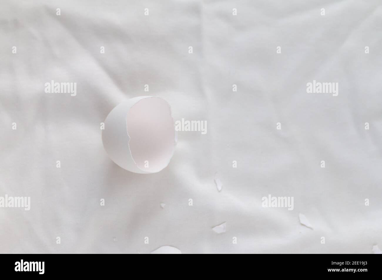broken egg shell on white background with space for text, begging of life concept Stock Photo