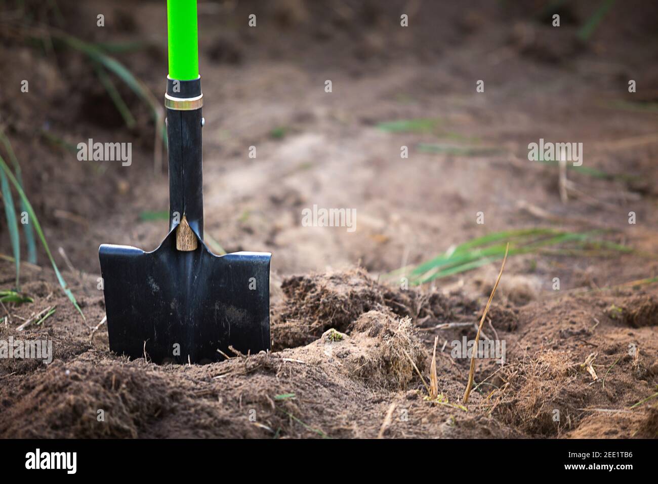 Shovel is inserted into the ground for planting in the spring ...