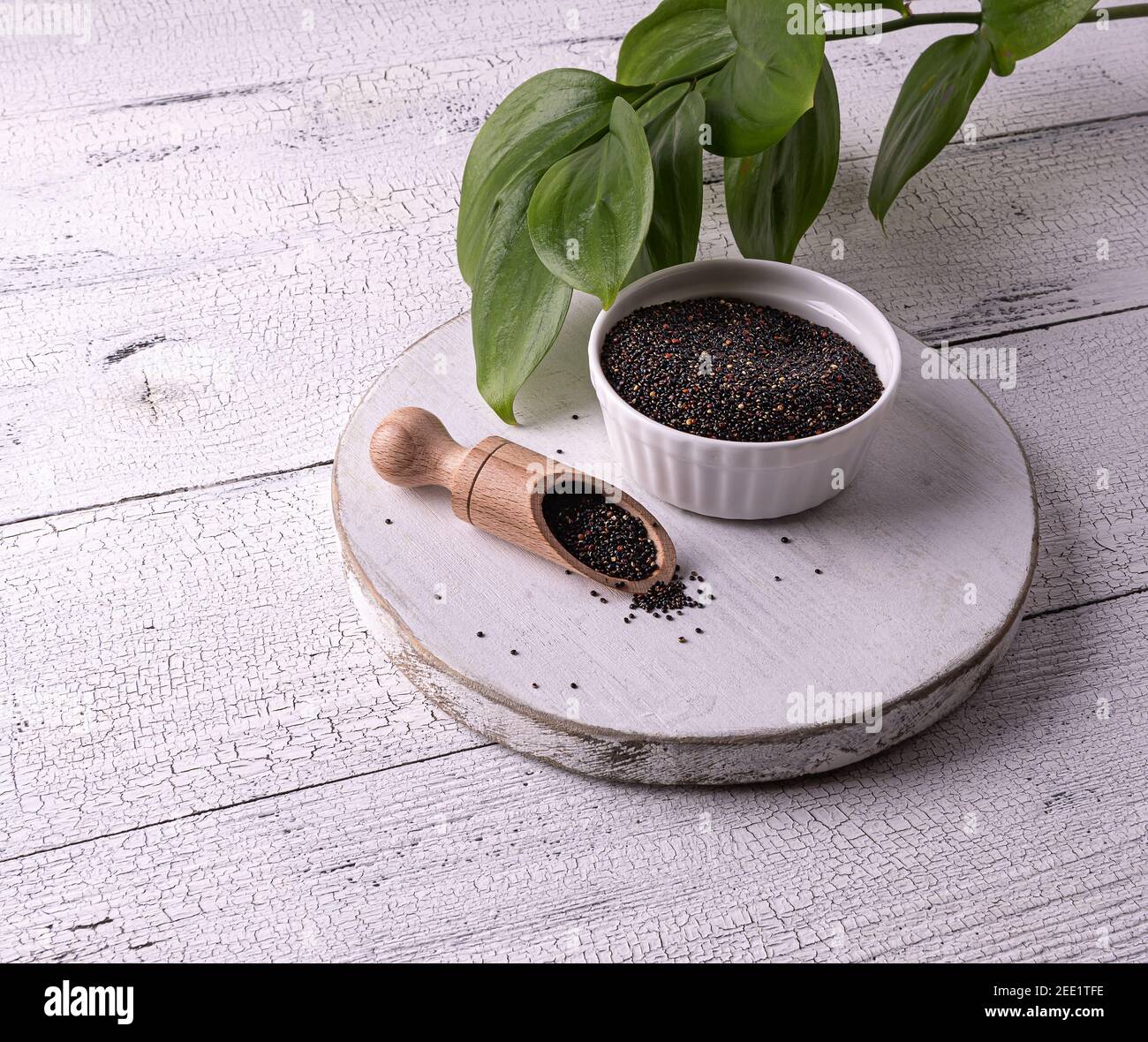 Black raw quinoa seeds in white bowl and wooden scoop with seeds on white wooden table. Few seeds are scattered around. Green leaves at background. He Stock Photo