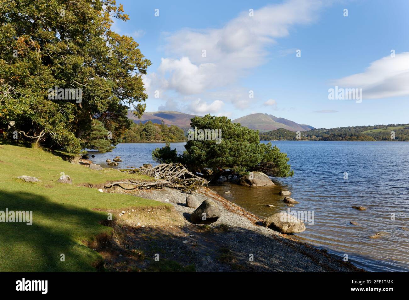 Views from the western shores of Derwent Water looking towards keswick Lake District Cumbria Stock Photo