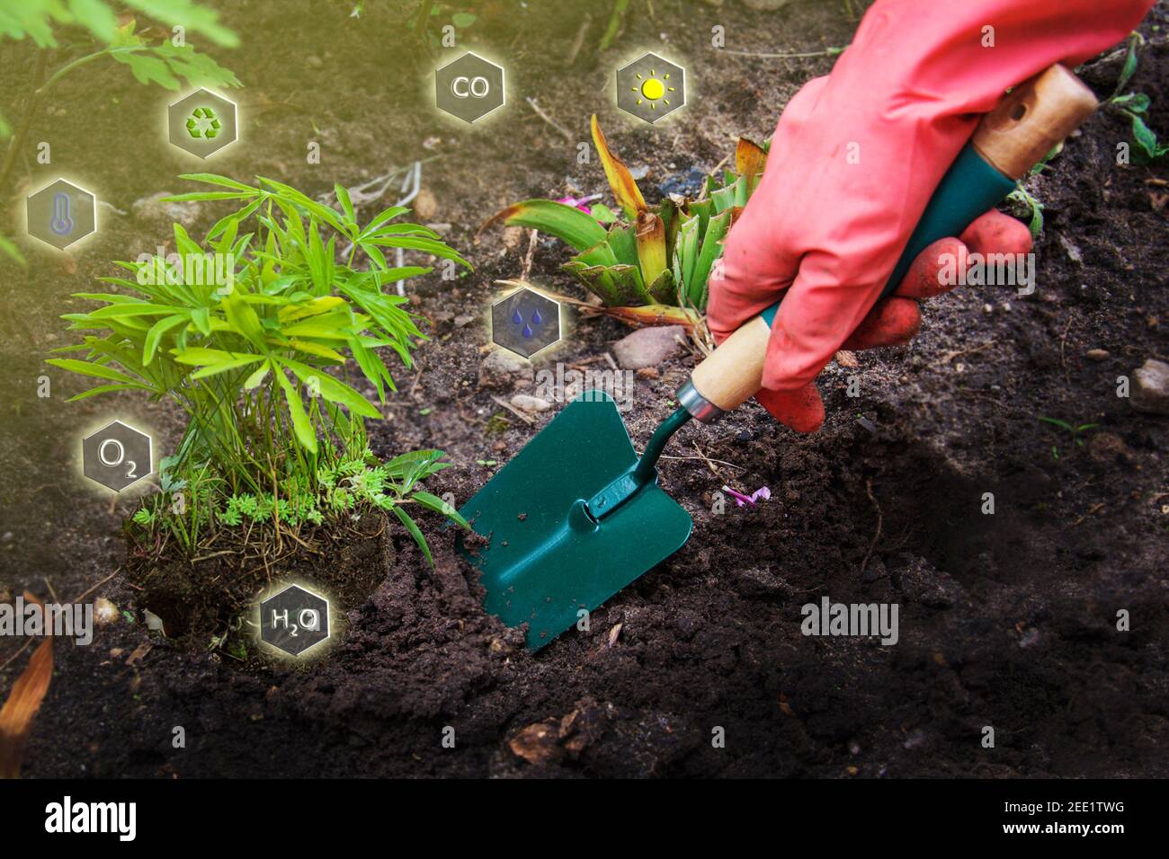 Role temperature, humidity, precipitation, sunlight and other natural factors in the process of